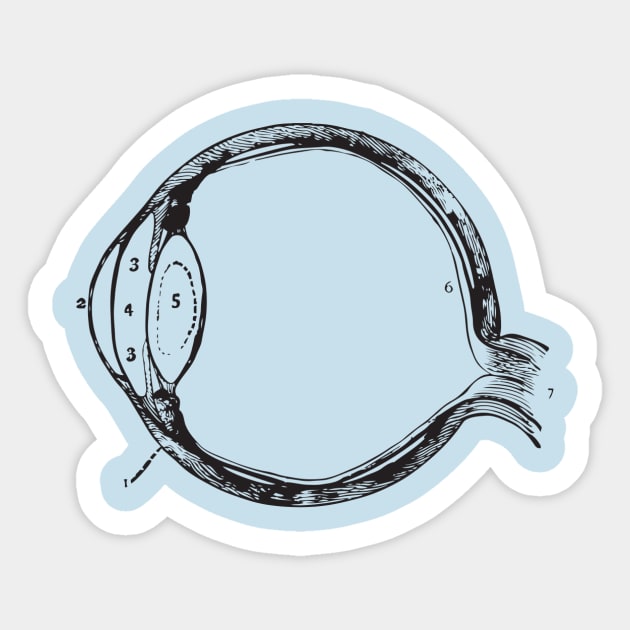 Anatomy of the eye Sticker by chapter2